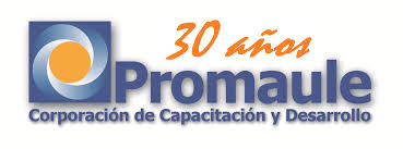 OTIC ProMaule